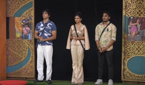 Bigg Boss 10 Telugu Episode 19 Highlights
